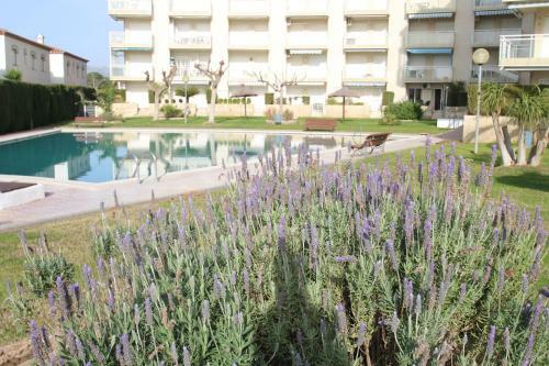 Apartamento Los Pelicanos