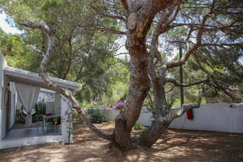 Apartamento La Hacienda
