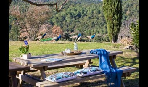 Macanet de Cabrenys Villa Sleeps 4 With Pool