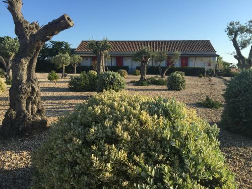 Bed & Breakfast Cerca Do Sul