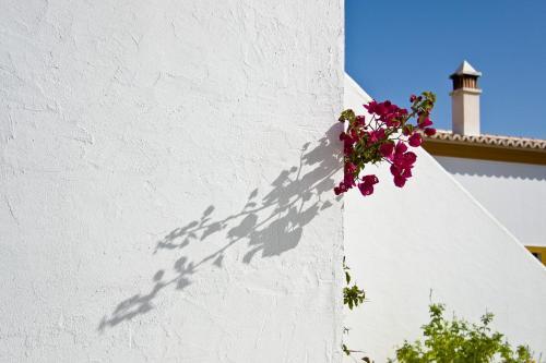 Agroturismo Casa De Cacela