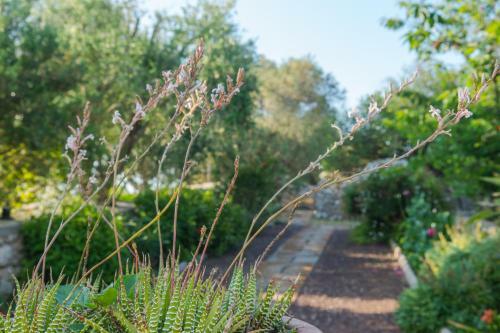 Villa Finca Son Martorellet