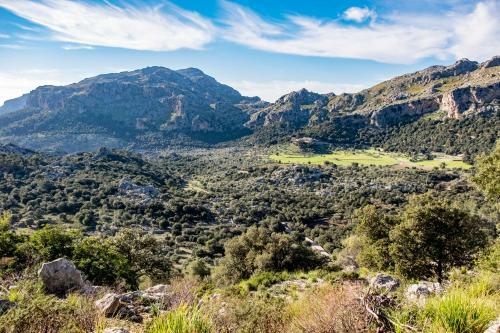Agroturismo Son Alzines