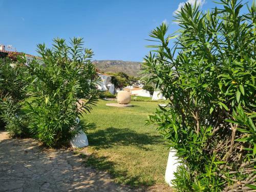 Apartamento La Almadraba Experience