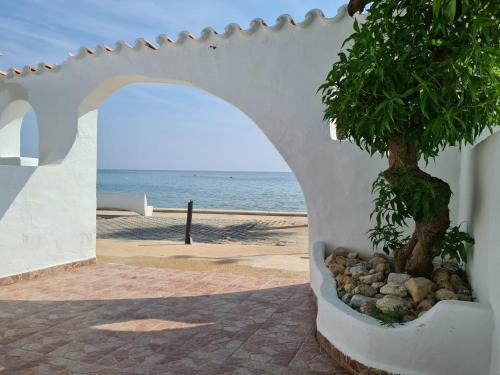 Apartamento La Almadraba Experience