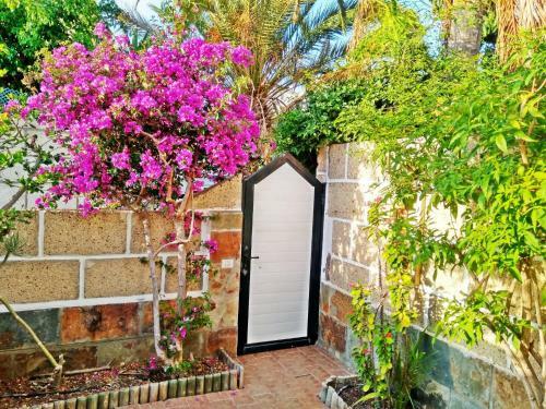 Casa Sarita - In Teneriffas Sonnigem S�den