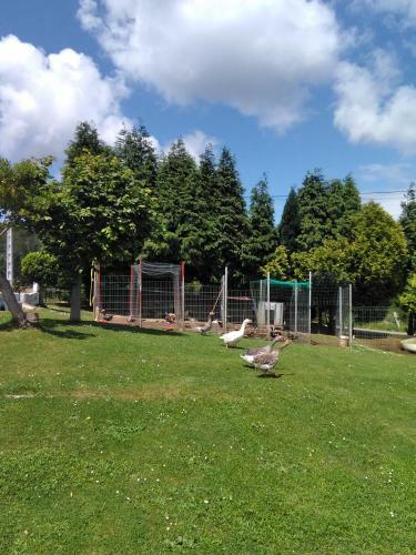 Agroturismo Casa Rural La Cotera La Roza