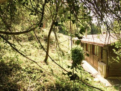 Lodge Caba�as En El Bosque - Adults Only