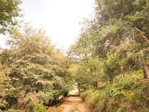 Lodge Caba�as En El Bosque - Adults Only