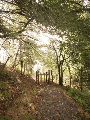 Lodge Caba�as En El Bosque - Adults Only
