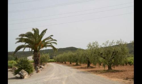 Apartment In Sant Pere Molanta Sleeps 4 With Pool