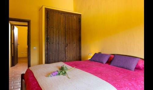 Villa In L'arbocar de Baix Sleeps 9 With Pool
