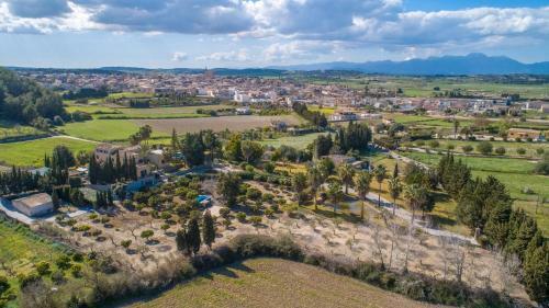 Santa Margalida - 275991