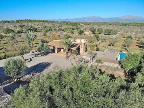 Son Morro Finca 230