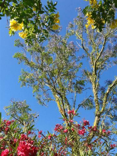 Hotel Rural Quinta Da Torre