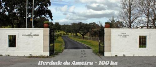 Hotel Da Ameira