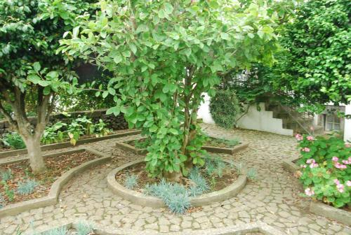 Agroturismo Quinta Dos Figos