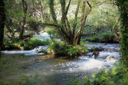 Casa Da Azenha Branca