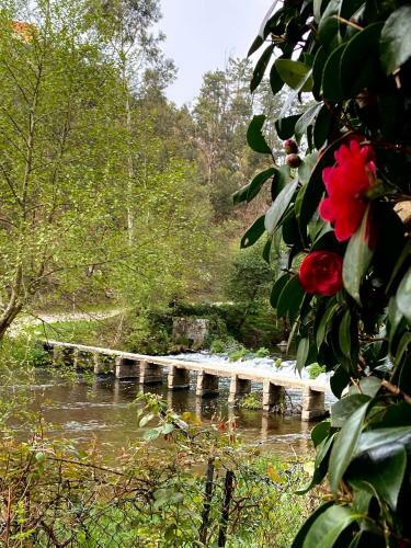 Casa Da Azenha Branca