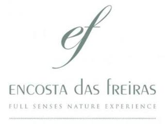 Hostal Quinta Encosta Das Freiras - Turismo Rural