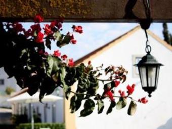 Hostal Quinta Encosta Das Freiras - Turismo Rural