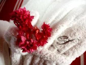 Hostal Quinta Encosta Das Freiras - Turismo Rural