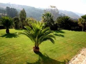 Hostal Quinta Encosta Das Freiras - Turismo Rural