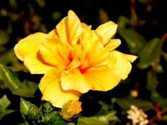 Hostal Quinta Encosta Das Freiras - Turismo Rural