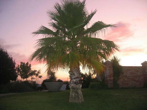 Hostal Outeiro Da Vila - Casas De Campo