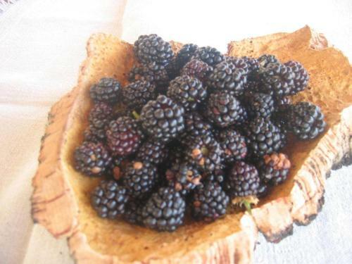 Hostal Outeiro Da Vila - Casas De Campo