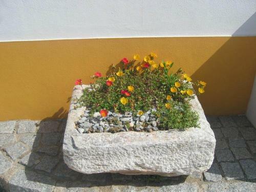 Hostal Outeiro Da Vila - Casas De Campo