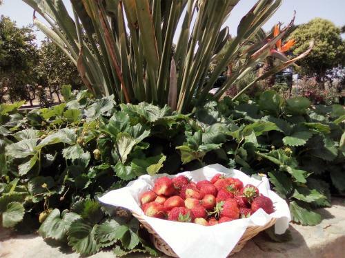 Agroturismo Monte Das Galhanas