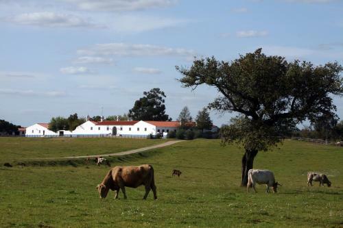 Herdade Da Negrita - Agroturismo