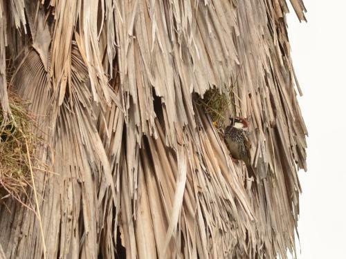 Agroturismo Quinta Dos Trevos