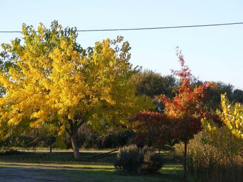 Agroturismo Quinta Dos Trevos