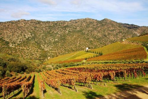 Hostal Douro Fluvina Yachts & Chalets