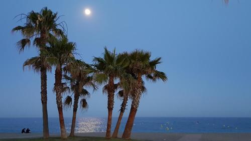 Stunning 2-bedroom Apartment Close To The Beach