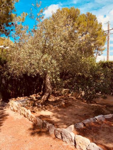Villa Ame430