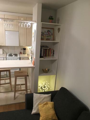 Apartamento Pikku Karhu