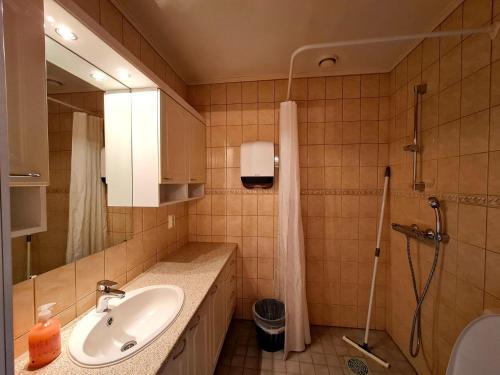 Apartamento Mansikkaharju Kartano