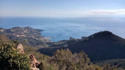 Apartamento Cap Esterel Le Hameau: Studio Mer M2 - 233la
