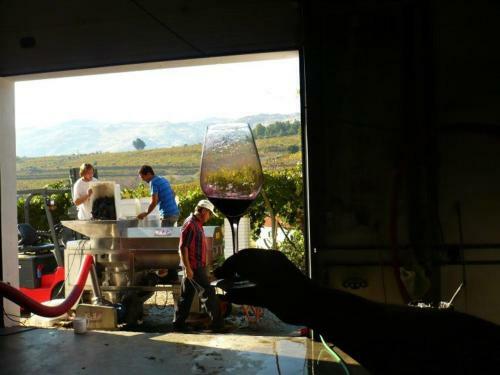Villa Quinta Da Padrela Winery House
