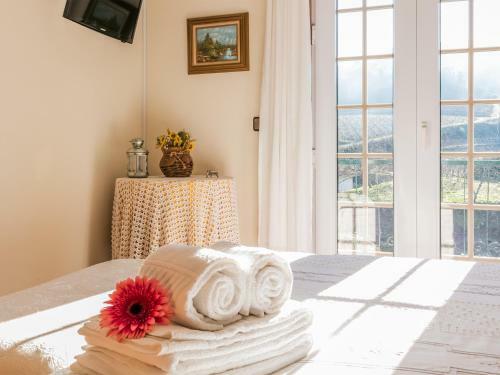Villa Quinta Da Padrela Winery House