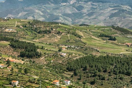 Villa Quinta Da Padrela Winery House
