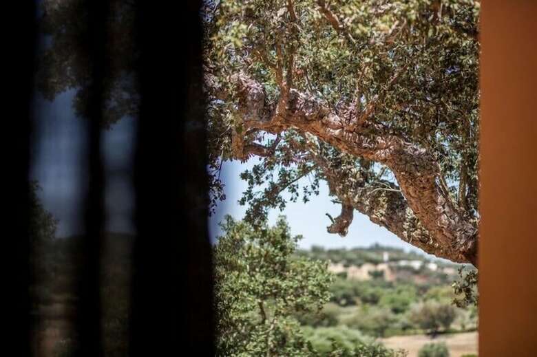 Agroturismo Monte Da Esperanca