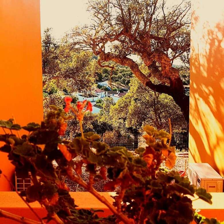 Agroturismo Monte Da Esperanca