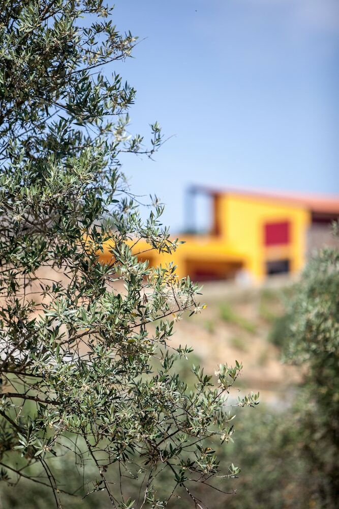 Agroturismo Monte Da Esperanca