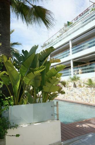 Beautiful Apartment With Swimming Pool In Antibes