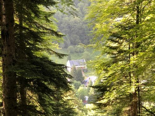 Bed & Breakfast Le Refuge De L'isard