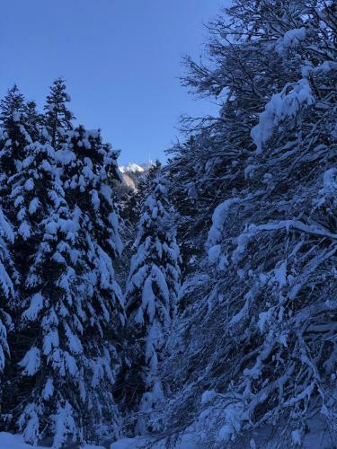 Bed & Breakfast Le Refuge De L'isard